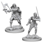 D&D Miniature - Human Barbarian Female