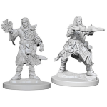 Pathfinder Battles - Human Wizard Male