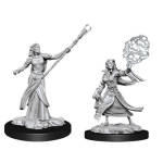 D&D Miniature - Elf Sorcerer Female