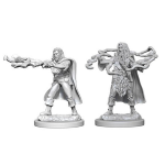 D&D Miniature - Human Sorcerer Male
