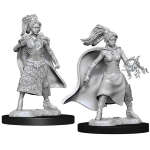 D&D Miniature - Human Sorcerer Female