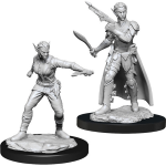D&D Miniature - Shifter Rogue Female