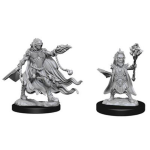Pathfinder Battles - Evil Wizards