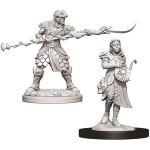 D&D Miniature - Yuan-Ti Pureblood Adventurers