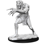 D&D Miniature - Troll
