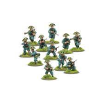 Bolt Action Italian Carabinieri Section