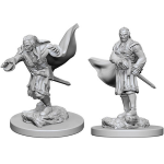 D&D Miniature - Vampires