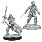 D&D Miniature - Vampire Hunters