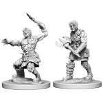 D&D Miniature - Nameless One