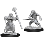 D&D Miniature - Kenku Adventurers