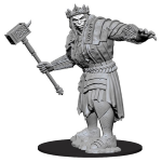 D&D Miniature - Fire Giant