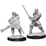 D&D Miniature - Human Fighter Male