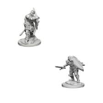 D&D Miniature - Human Paladin Male