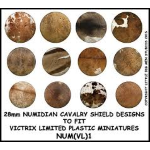 Transfers Numidian Cavalry Shield 1