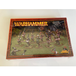 Warhammer Fantasy Pestigor del Caos