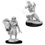 D&D Miniature - Human Druid 2 (Male)