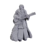 D&D Miniature - Ansalon Human Bard