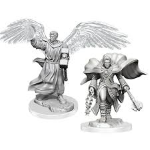 D&D Miniature - Aasimar Cleric Male